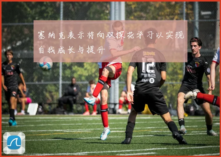 塞纳克表示将向双探花学习以实现自我成长与提升